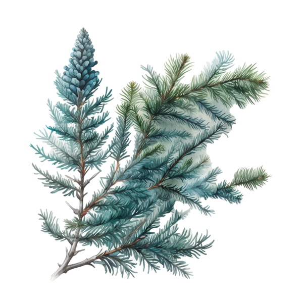 ÖH Boku - Blaufichten Zweig