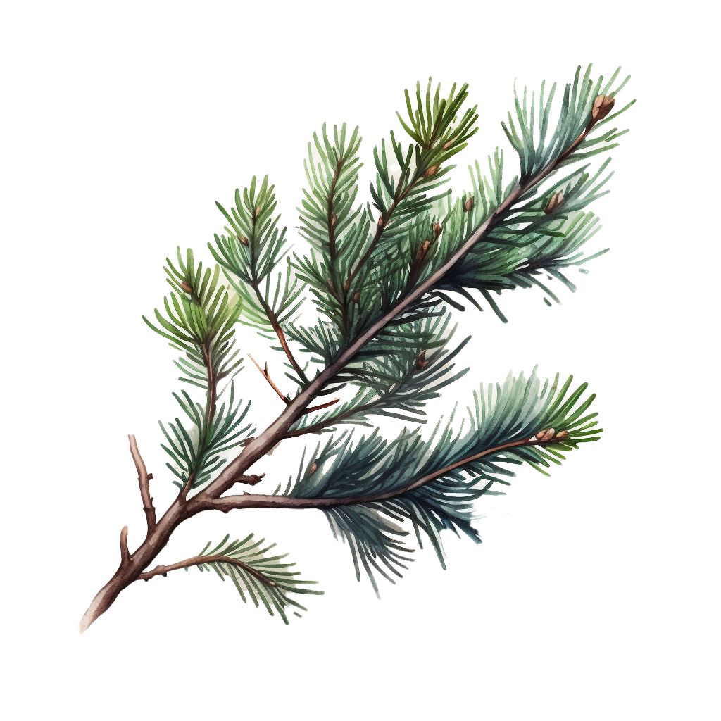 ÖH Boku - Tannenzweig