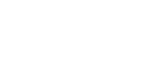 Boku Wien Logo